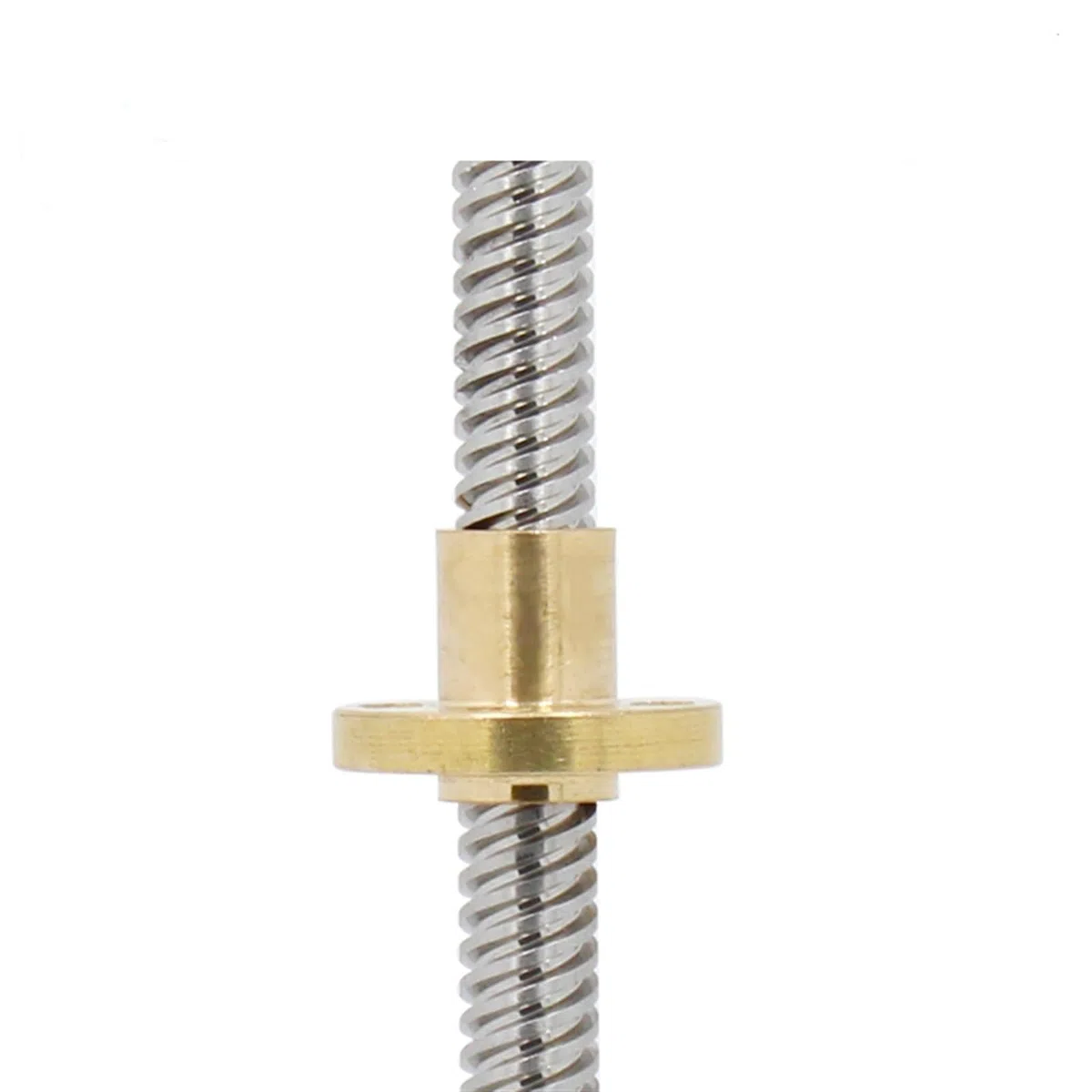 Gewindespiel T12 Trapezgewinde, 2 mm, 3 mm Steigung, 3 mm, 12 mm, 14 mm Blei, Edelstahl-Schraubenstange, T12-Leitspindel mit Messingmutter Schraube trapezförmig (Color : Pitch 2mm lead 14mm, Size :