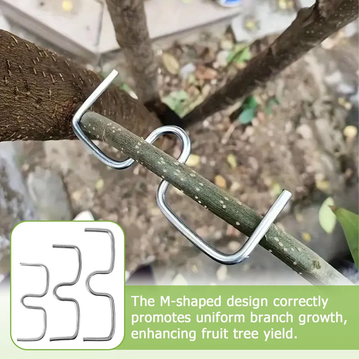 36 Stück Astspreizer für Obstbäume, Metall Aststütze Obstbaum 8/10/13cm, M-förmiger Astzieher Zweigspreize für Gartenbäume, Astklammern Biegehilfen zum Spreizen und Ebnen von Obstzweigen