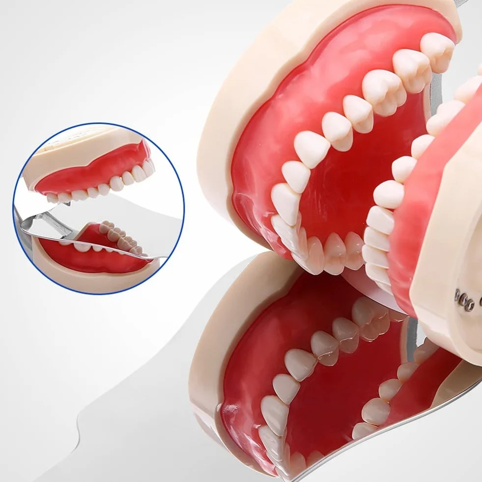 Dental Oralfotografie Spiegel, Zahnarzt Anti-Beschlag Foto Spiegel Occlusal Reflektor Glas